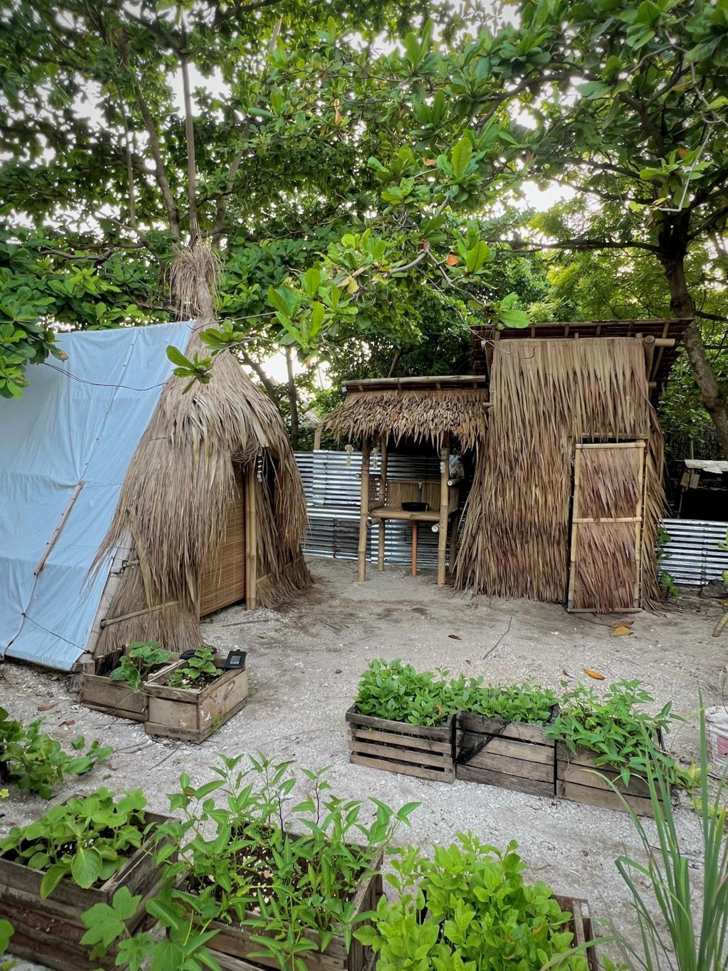 Tribal Huts Community Hostel Daanbantayan Exterior photo